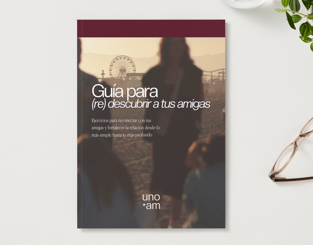 Guía Amistad
