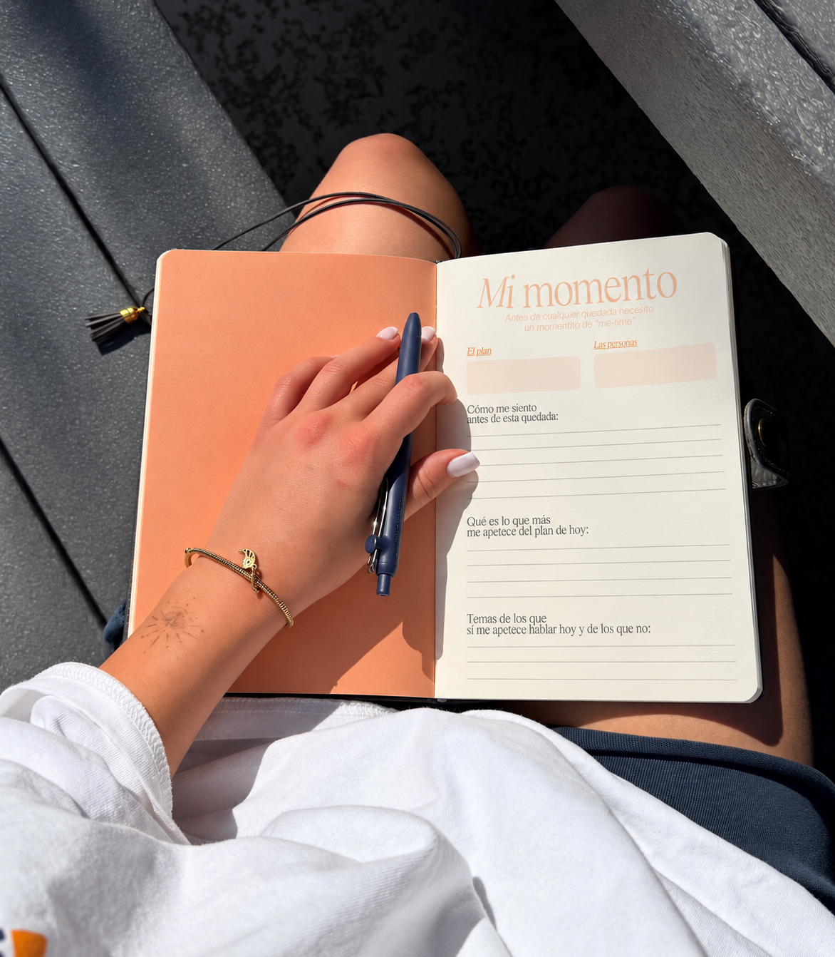Journal Amistad